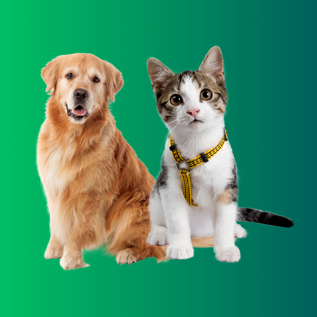 PETS